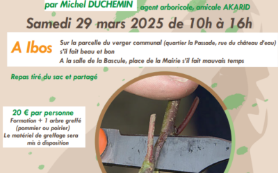 Stage de greffage vergers – 29 mars