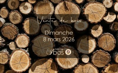 Vente de bois – dimanche 8 mars