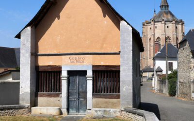 Maison des Patrimoines et de la Culture – expositions en cours