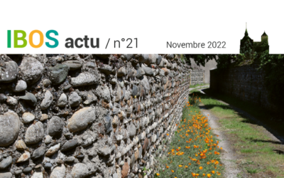 IBOS ACTU n°21 – novembre 2022