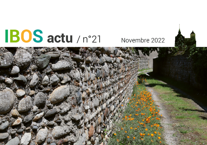IBOS ACTU n°21 – novembre 2022