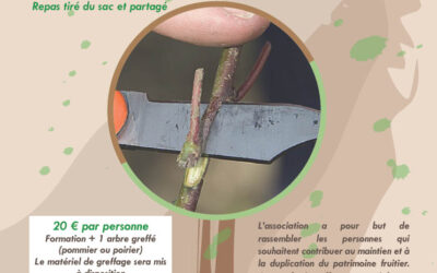 Stage de greffage