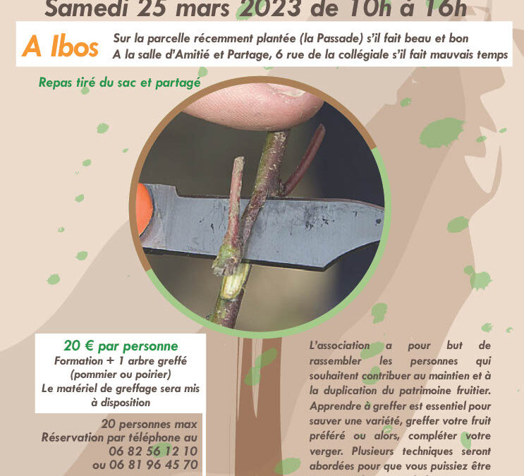 Stage de greffage