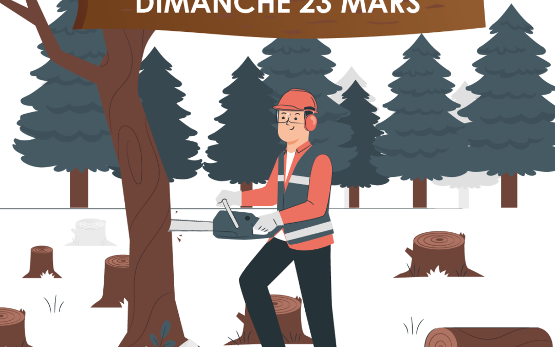 Vente de bois – 23 mars 2025