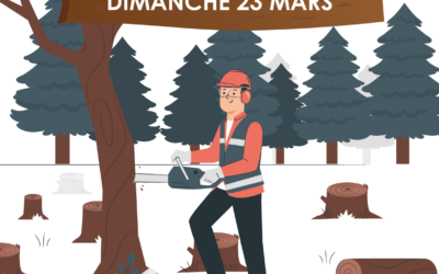 Vente de bois – 23 mars 2025