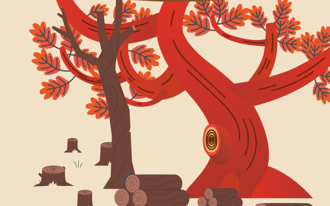 Vente de bois – dimanche 8 mars