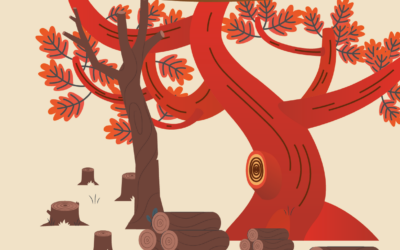 Vente de bois – dimanche 8 mars