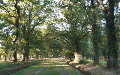 Accès interdit au Bois du Commandeur