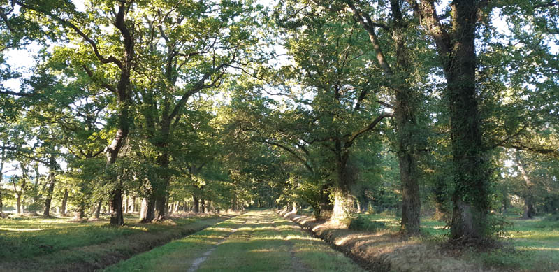 Accès interdit au Bois du Commandeur